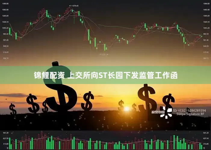 锦鲤配资 上交所向ST长园下发监管工作函