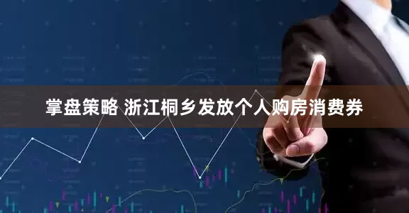 掌盘策略 浙江桐乡发放个人购房消费券